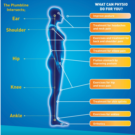 Posture Matters: How Physiotherapy Can Improve Your Alignment, by Divine  care physio